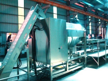Potato Chips Production Line- Peeling Machine