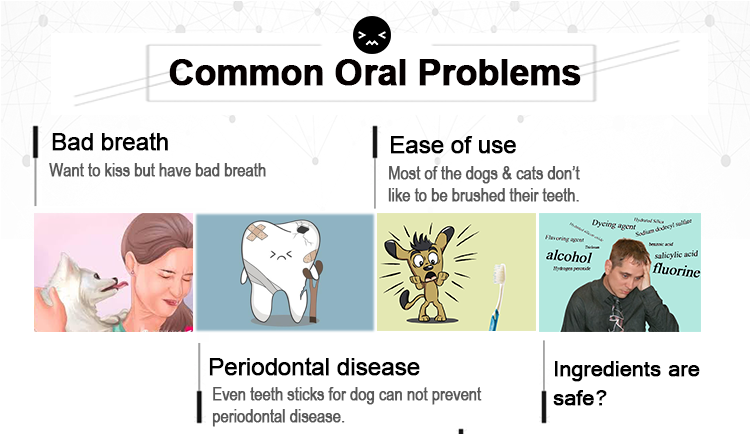 INTELLIGENT Saliva Enzymes Dog Toothpaste Remove Dental Tartar Plaque Gum Disease Fresh Breath Edible Healthy In 80g Bulk