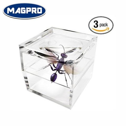 Pack of 3 Magnifier Box Bug Viewer Magnifies up to 3X