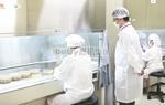 Manufacturing Process