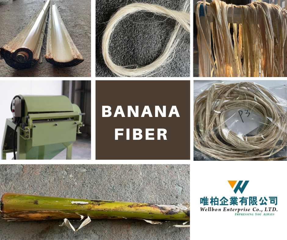 Banana fiber decorticator Taiwantrade
