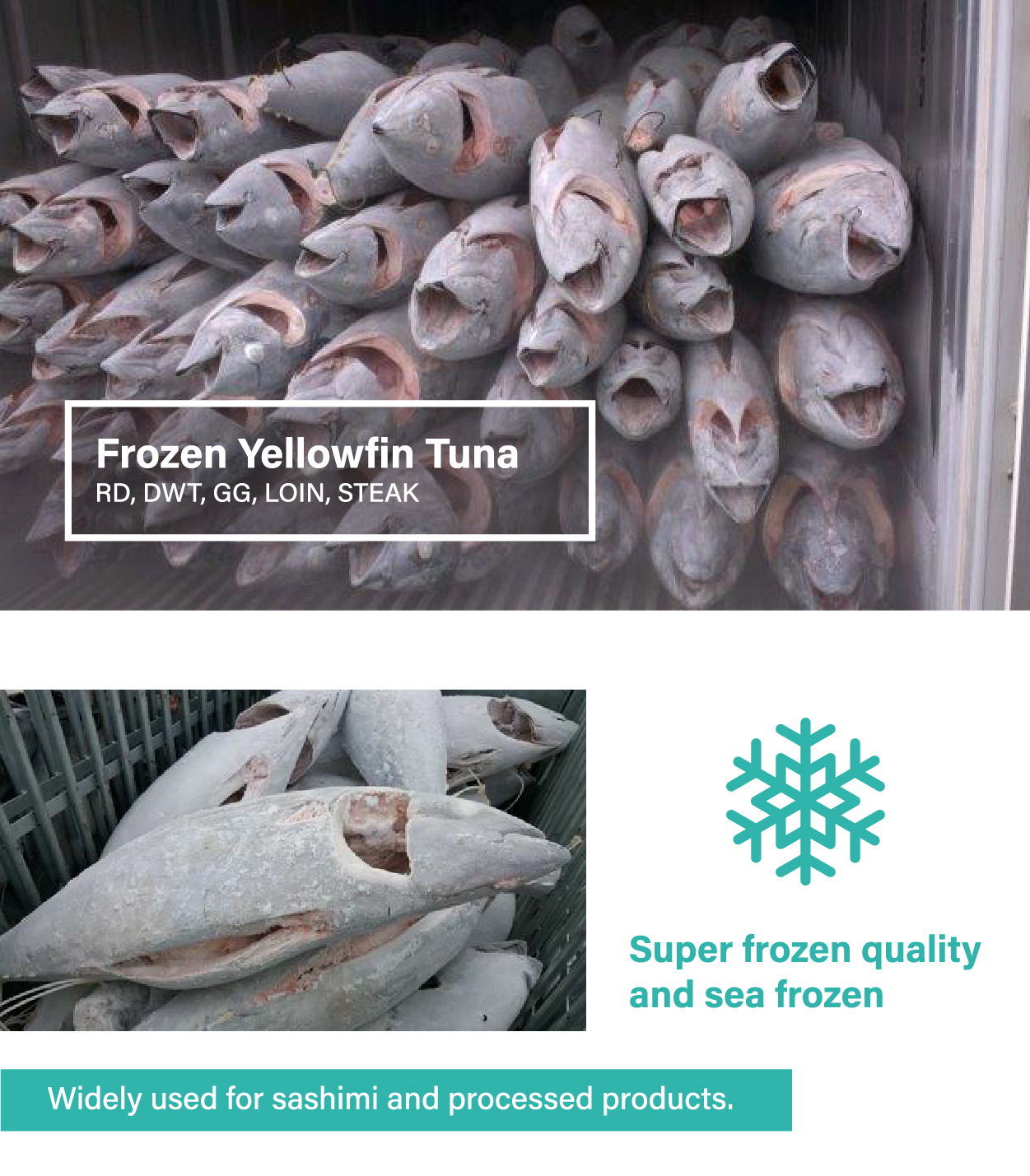 Frozen Yellowfin Tuna GG, WR, DWT, High Quality, Wholesale CHUN SUCCESS INTERNATIONAL CO., LTD.