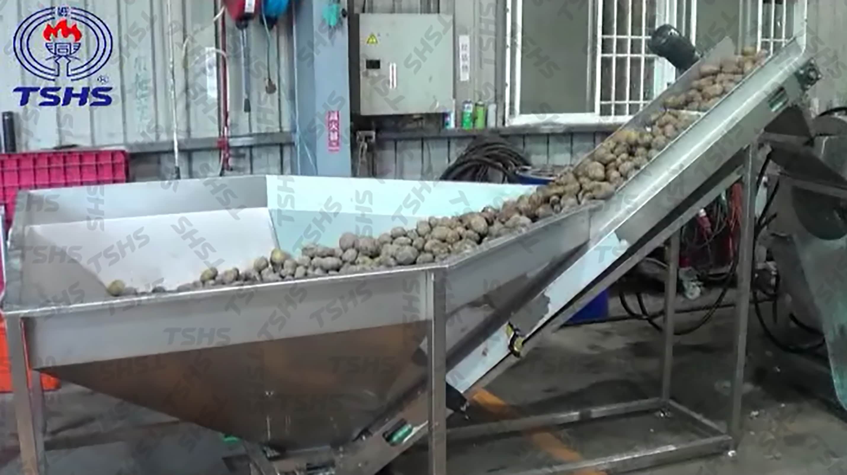 Potato Chips Production Line- Feeding Conveyor for Washing M/C