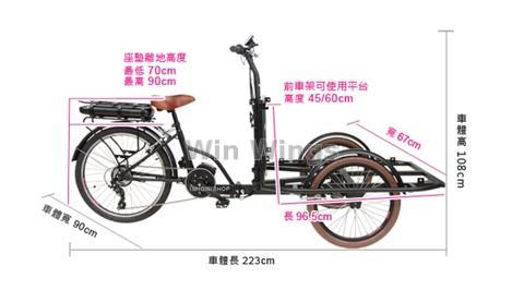 electric cargo bicycle