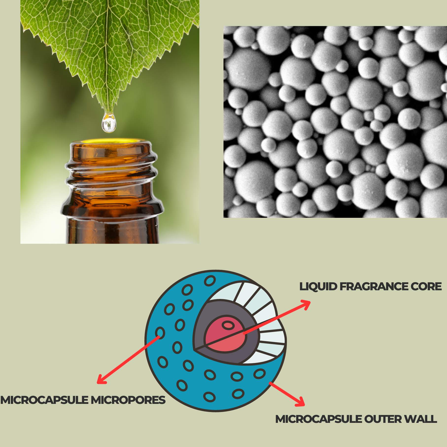 Micro-capsules | Taiwantrade