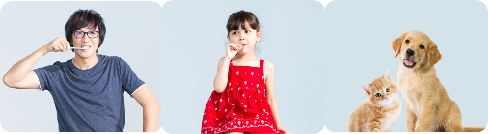 INTELLIGENT Saliva Enzymes Baby Toothbrush Natural Chewable Soft Silicone Innovative 6 Stage Oral Care Brands For First Teeth