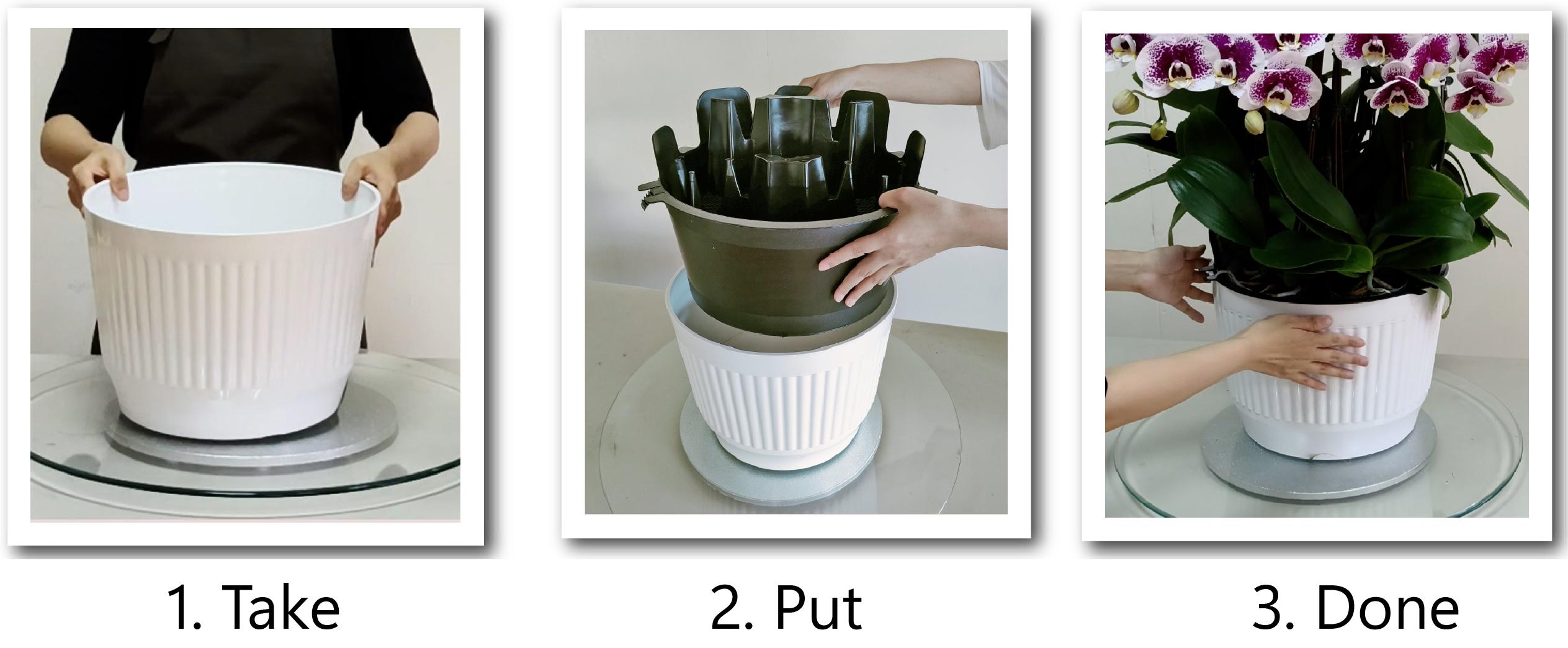 Step-by-step orchid setup using pleated planter with modular quick-assembly tray