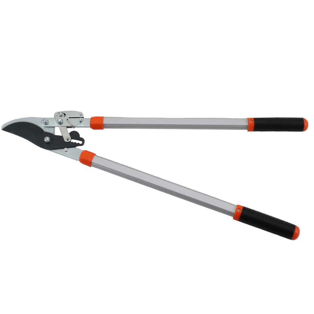 Ratchet Bypass Lopping Shears, Tool, Shear / Pruning Tool. Taiwantrade