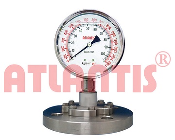 simple pressure gauge