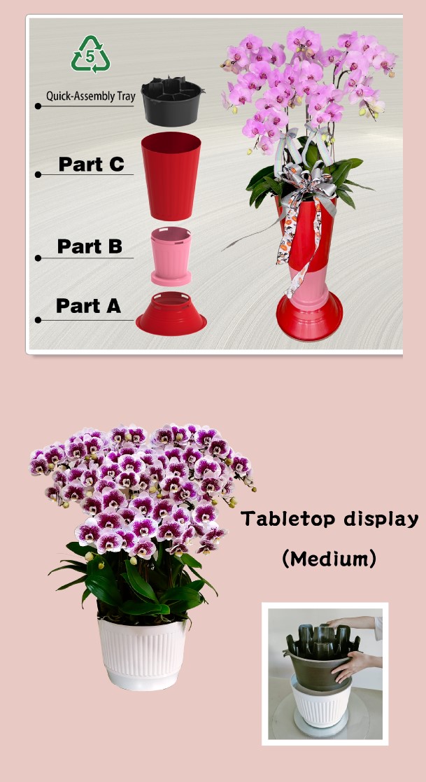 F324 orchid display tray, premium PP plastic, close-up rim detail, ideal for Dubai luxury event décor