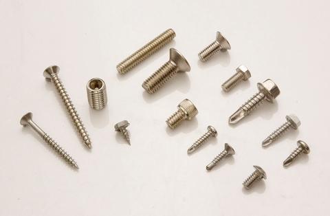 International Standard Stainless Steel Screws