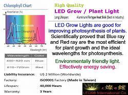 Grow Light Chart