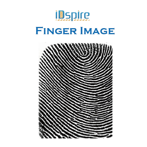 Biometric Tablet fingerprint image