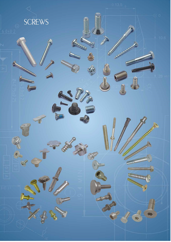 International Standard and non-standard Screws Made of Steel, Stainless steel, Brass, Aluminum of auto parts