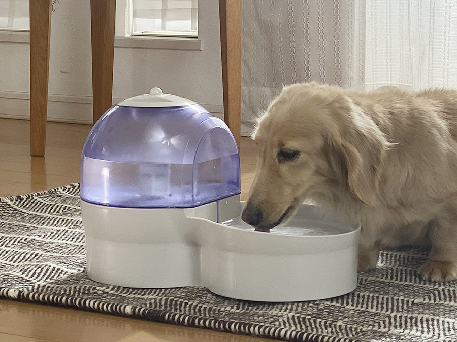 1011円 超人気 ペット自動給水器 ペットボトル 犬猫用 ウォーターボトル 水飲み