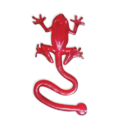 sticky frog toy