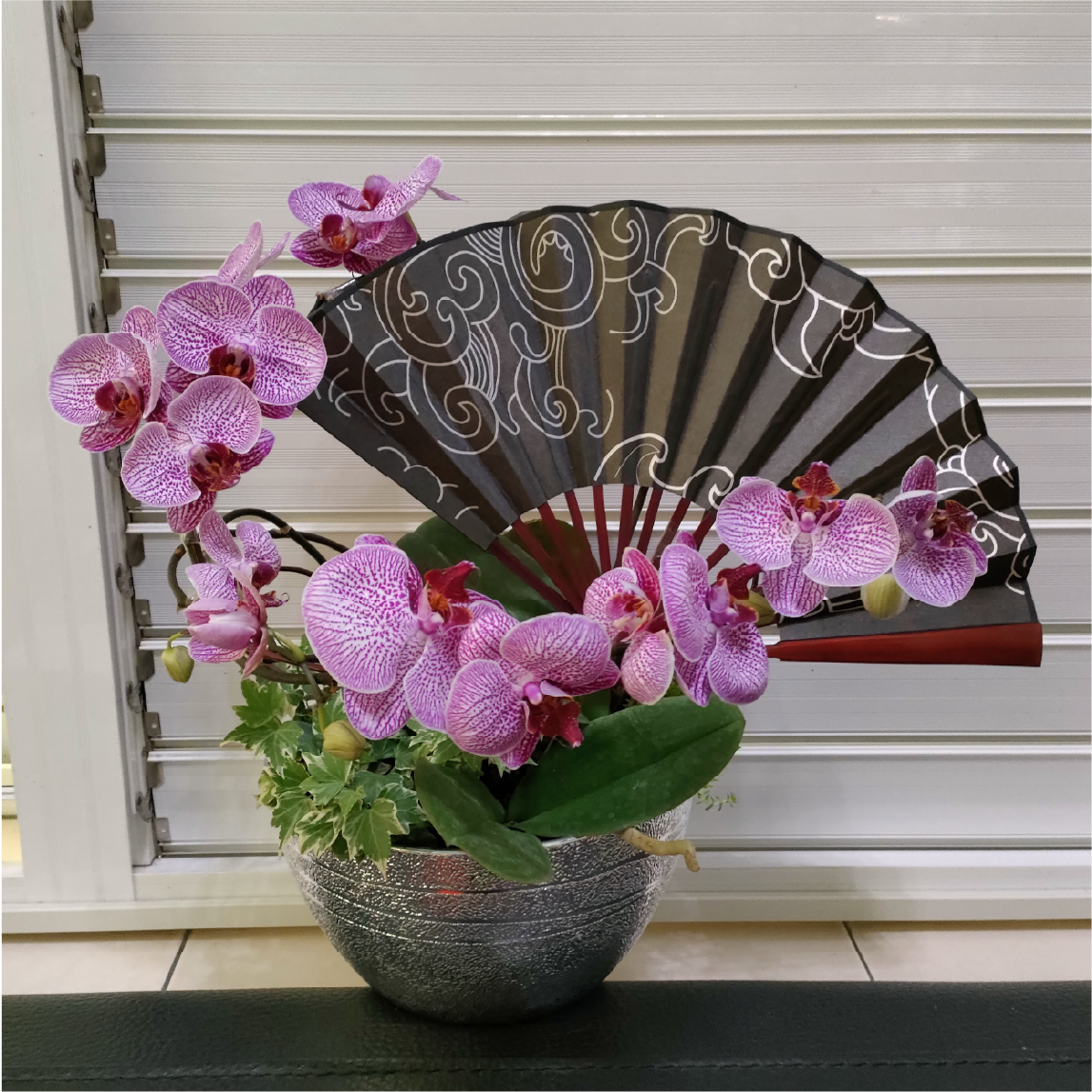 Whispers of Ink — orchid arrangement
