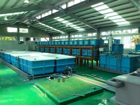 Recirculating Aquaculture System,  Aquaculture fish tank