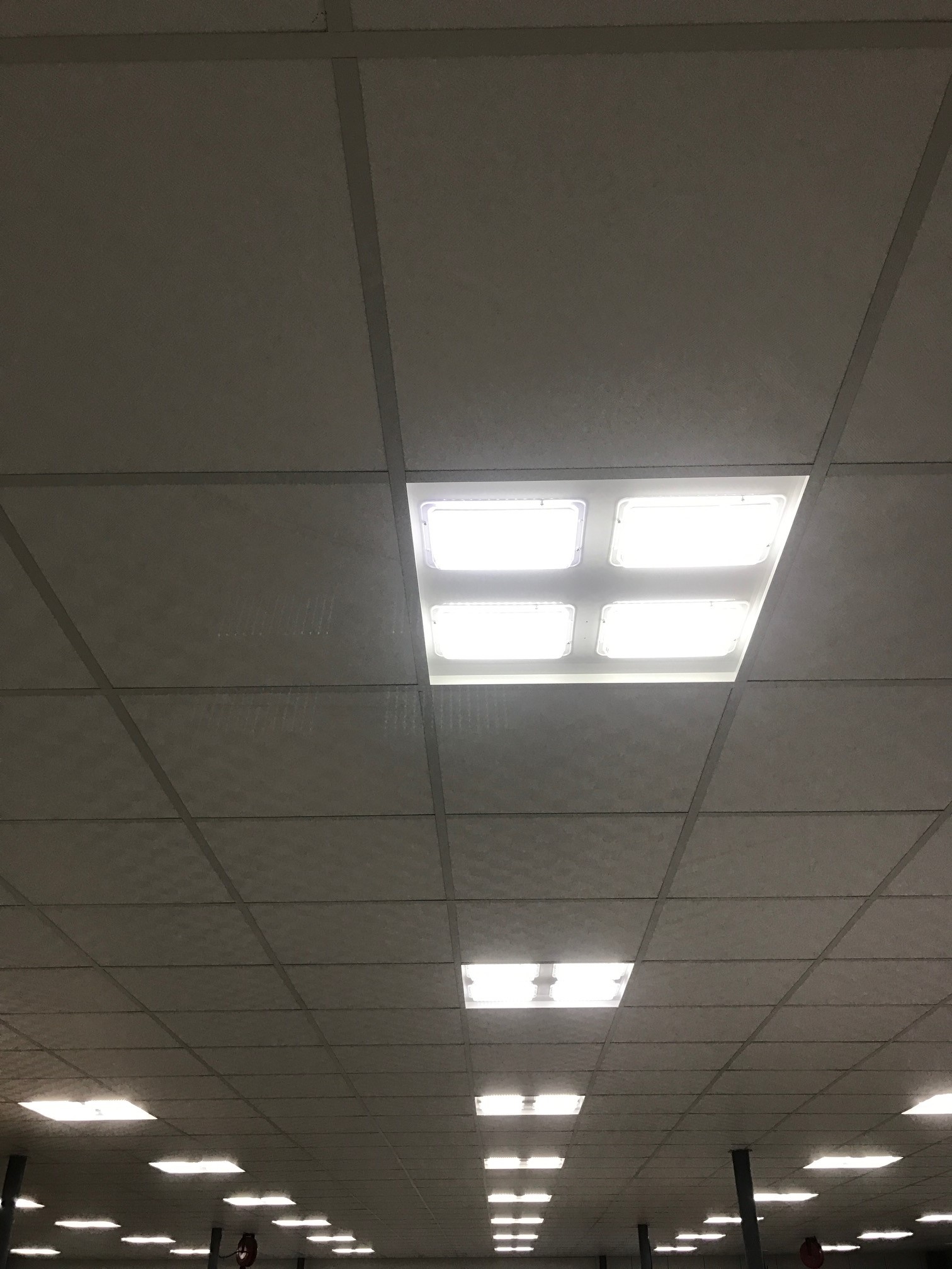 Solatek T Bar Led Light Save Power Save Money Long Lifespan