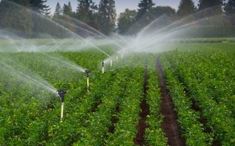 DEAR DEER Plastic Impulse Sprinkler (impact sprinkler, farm sprinkler,  garden sprinkler, irrigation sprinkler) BJ-100 | Taiwantrade