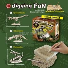 toy dinosaur bones kit