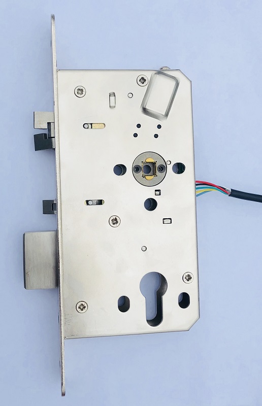 Euro Electronic Mortise Door Lock Body Electronical Automatic Function