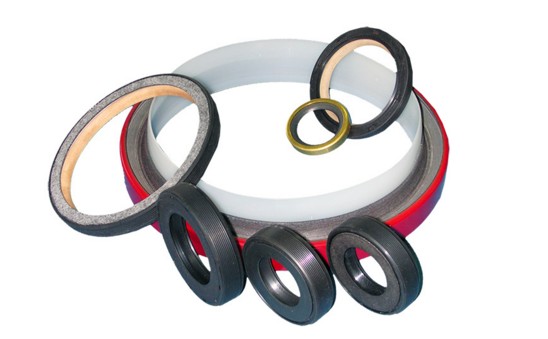 PTFE seal,Oil Seal