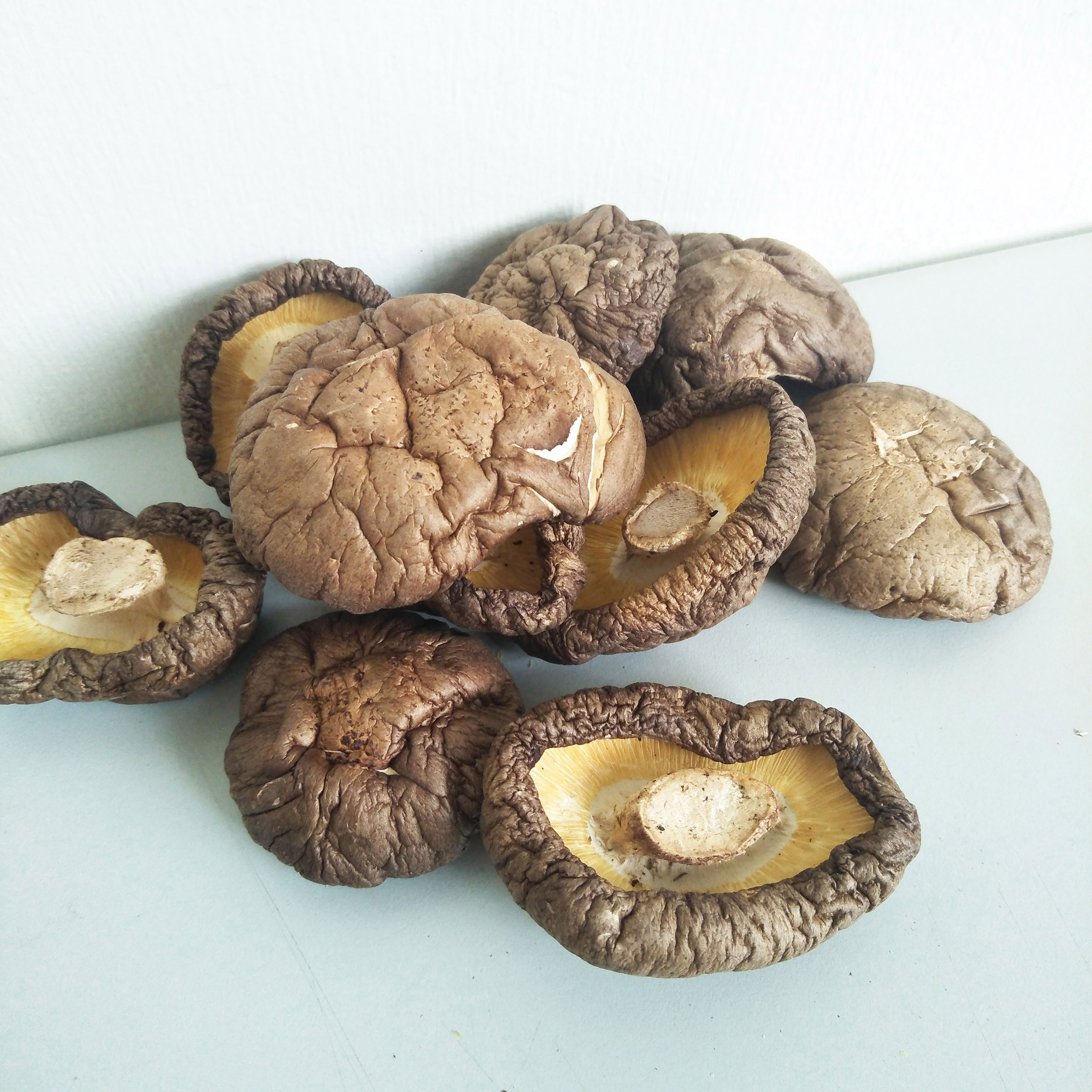 Natural Whole Shiitake Mushroom 2020's New Launch | Taiwantrade.com