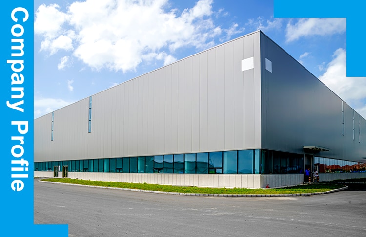 Hair Color Dye Shampoo OEM Permanent Light Brown Hair Cream Permanent Cream for Grey Hair to Black