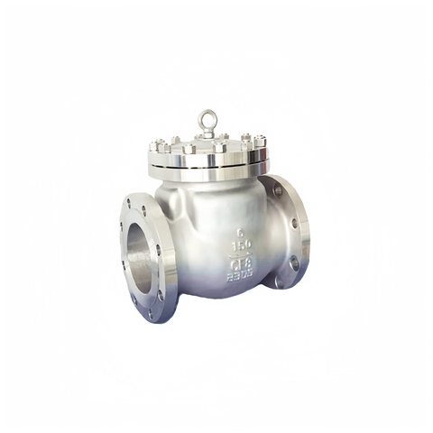 API Check Valve