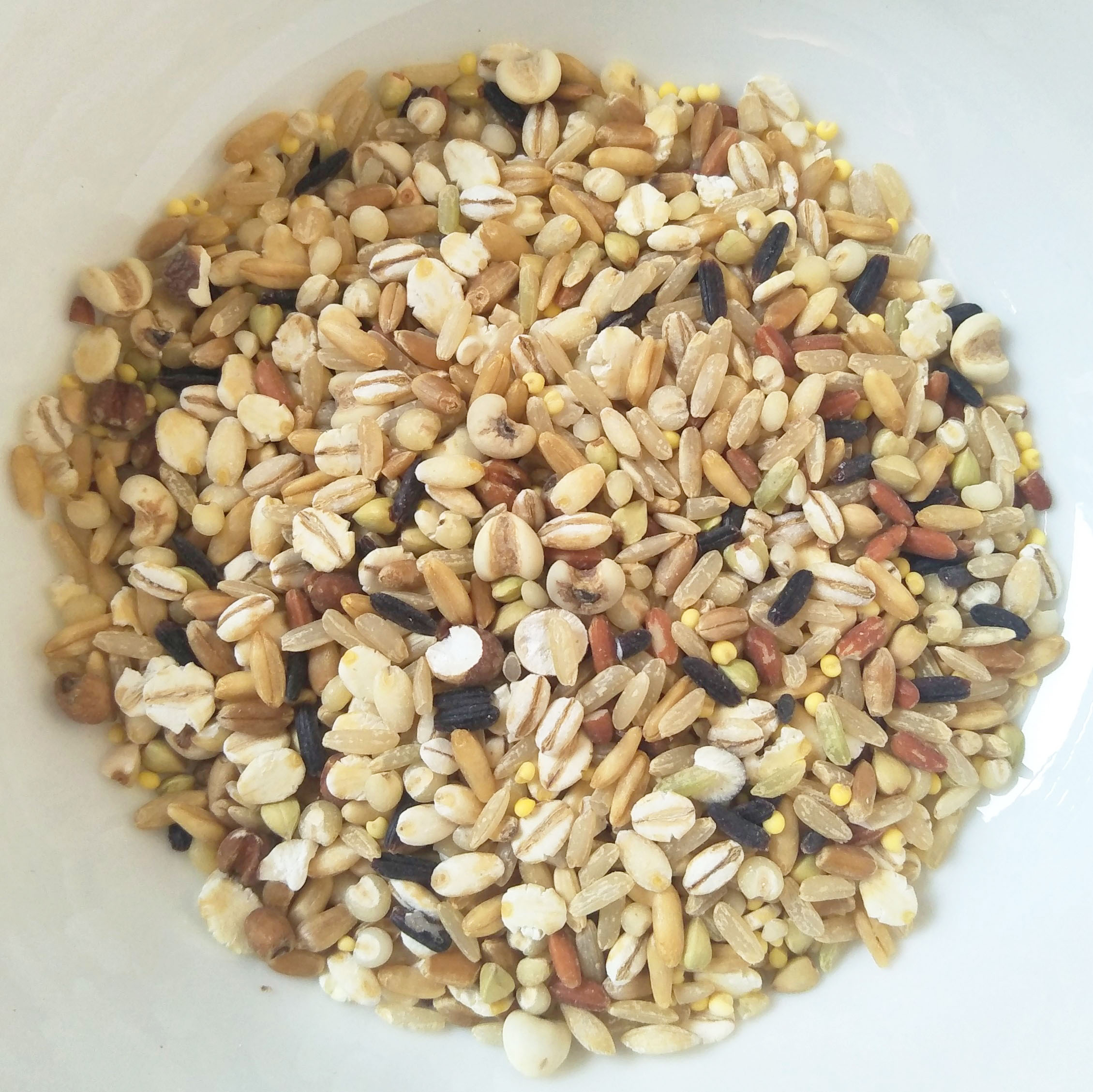 The Best Choice Healthy Long Grain Rice Taiwan Produced