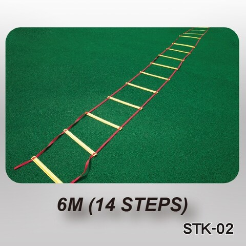 AGILITY LADDER