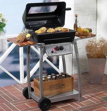 Steel 2 Burner Gas BBQ Grill 520