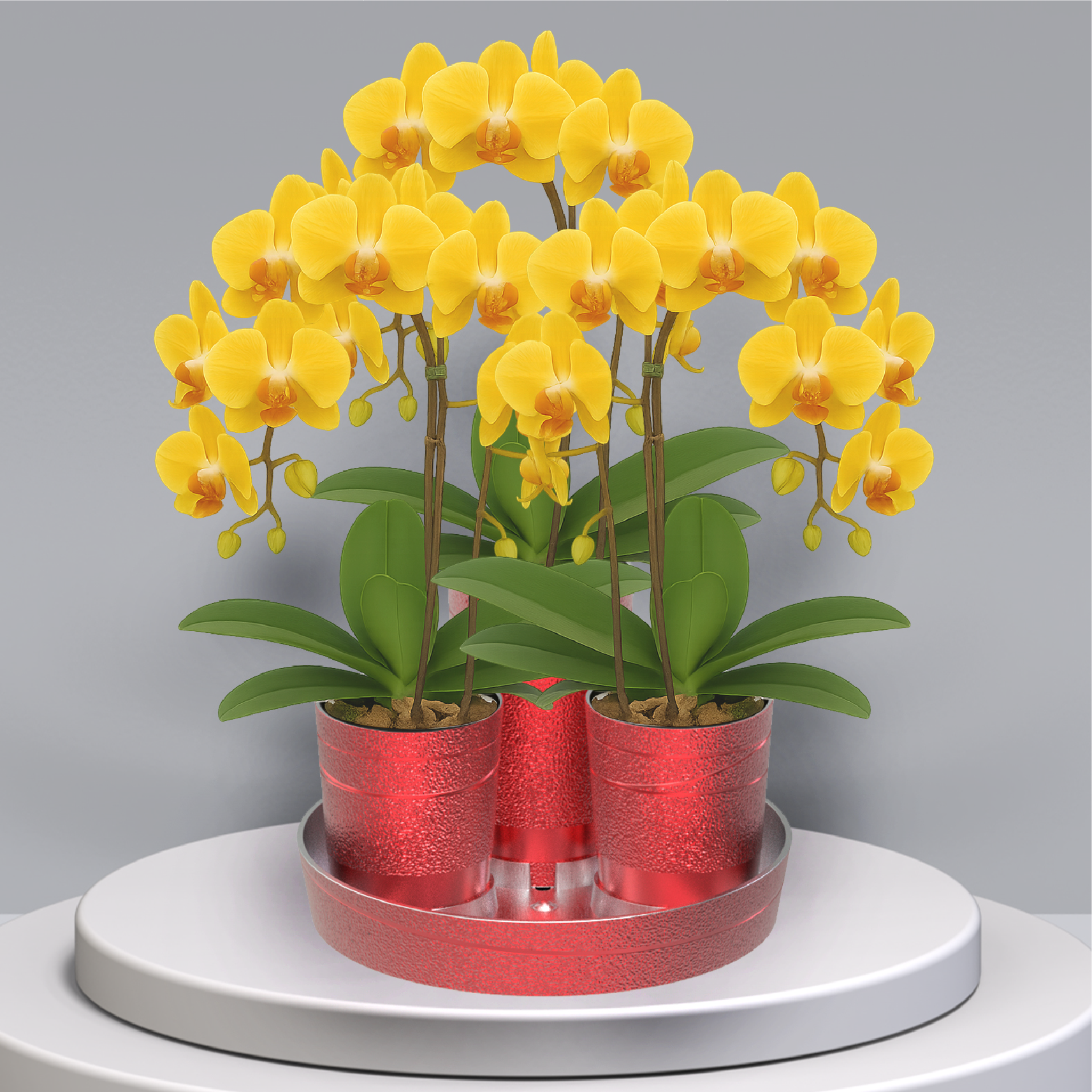 作品展示 03-紅色-蘭花插花快速組裝，花管圓盤組-3管