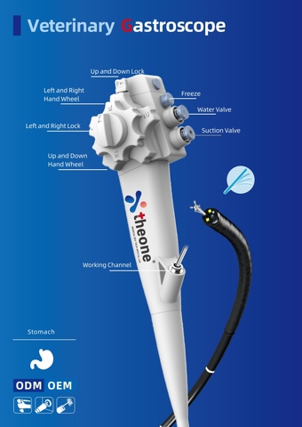 Veterinary Gastroscope