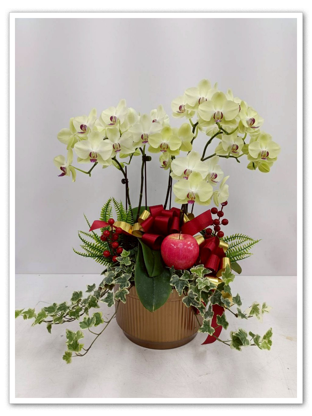 	Elegant white orchid arrangement in pleated glossy round planter