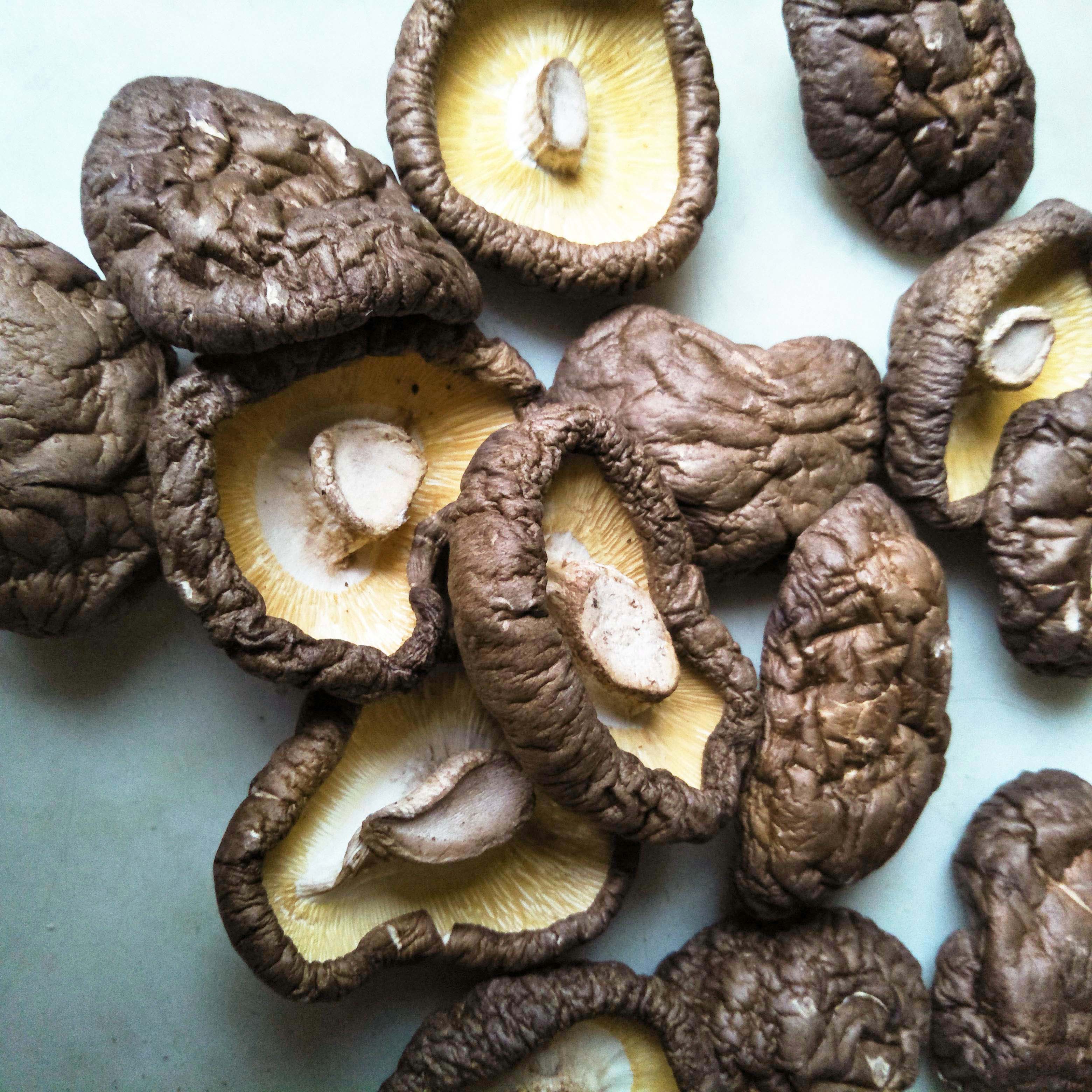 Whole Fresh Shiitake Mushroom Taiwan Supplier  Taiwantrade com