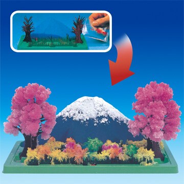 Magic Crystal Garden