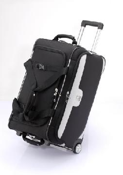 Delly-- 2 wheels Luggage for 24