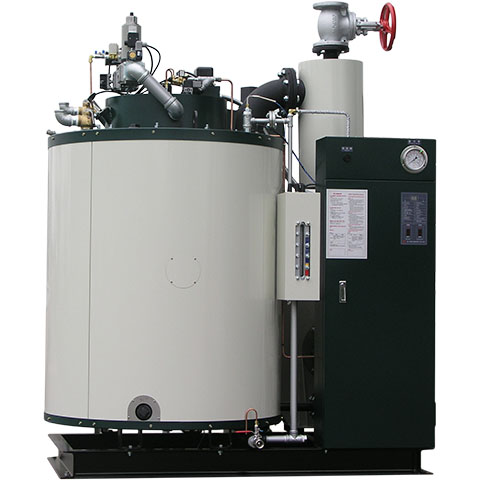 Dual Fuel Steam Boiler