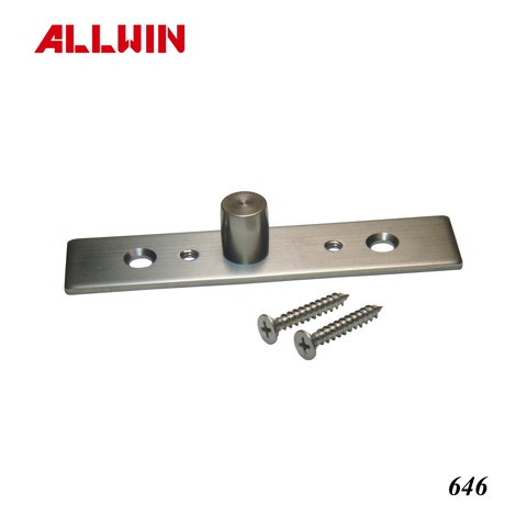 Top Pivot Stainless Steel Door Closers for Top Patch Fitting