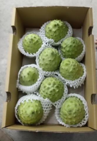 Fresh custard apple sweet and refreshing