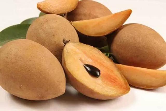 Sapodilla