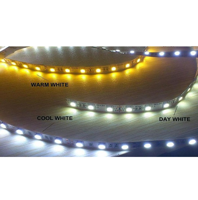 Led Strip Light Flex 2835 Smd 60 Waterproof Landscape