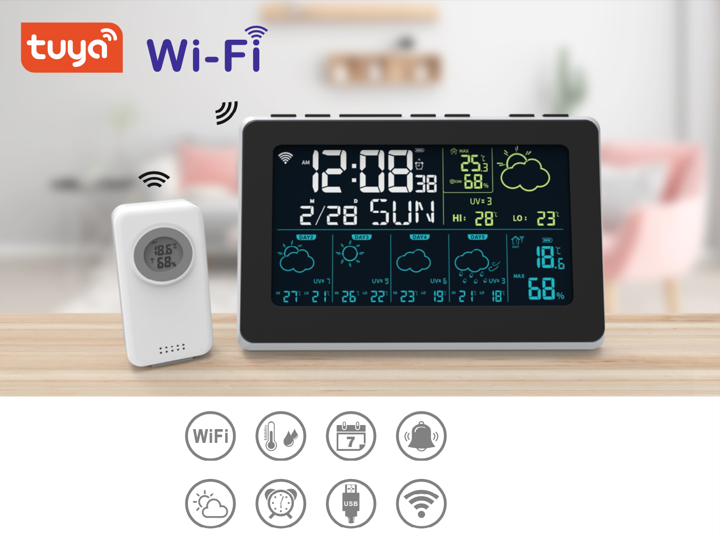 ROAPROBE WiFi Weather Station Wireless Indoor Outdoor Thermometer