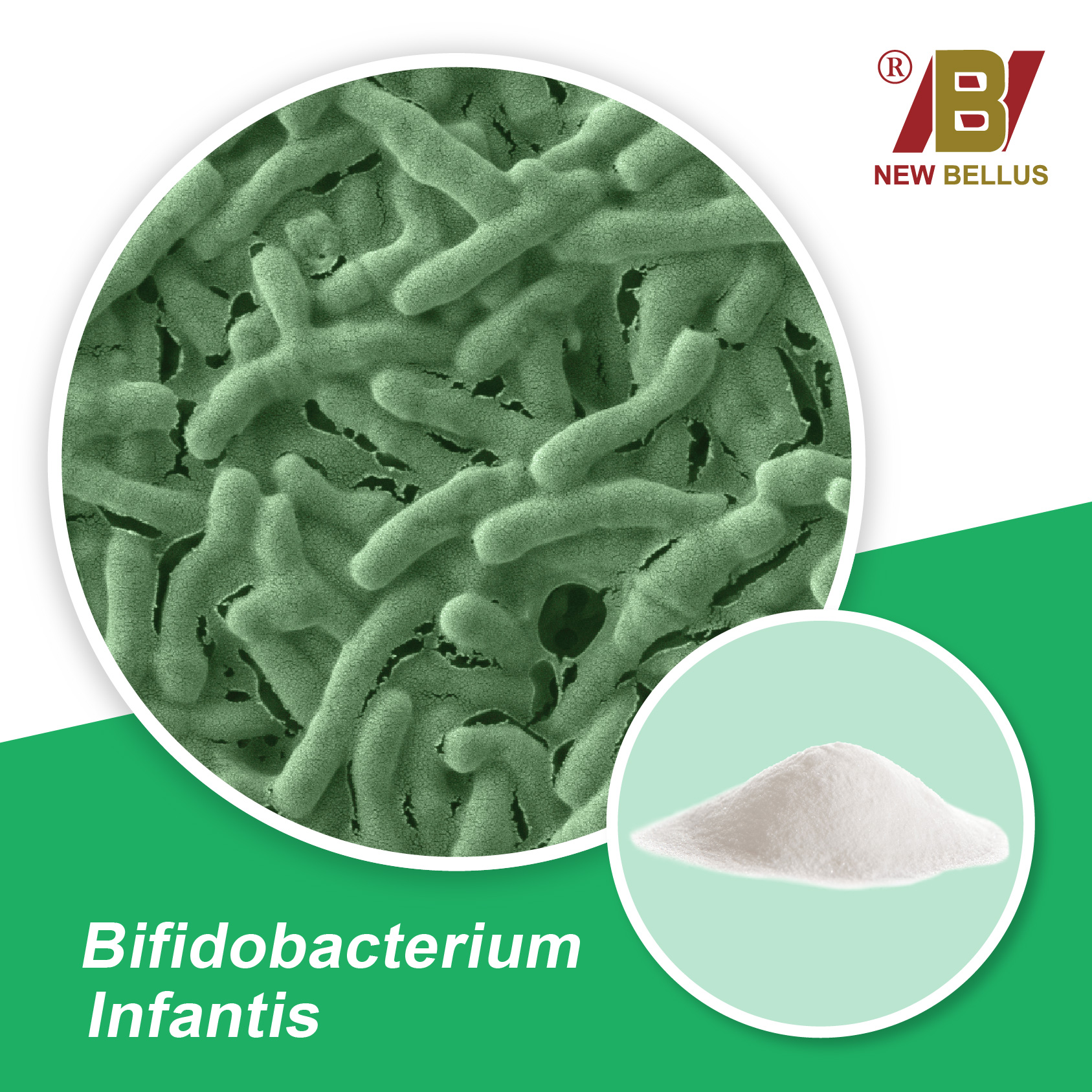 Bifidobacterium Infantis | Taiwantrade.com