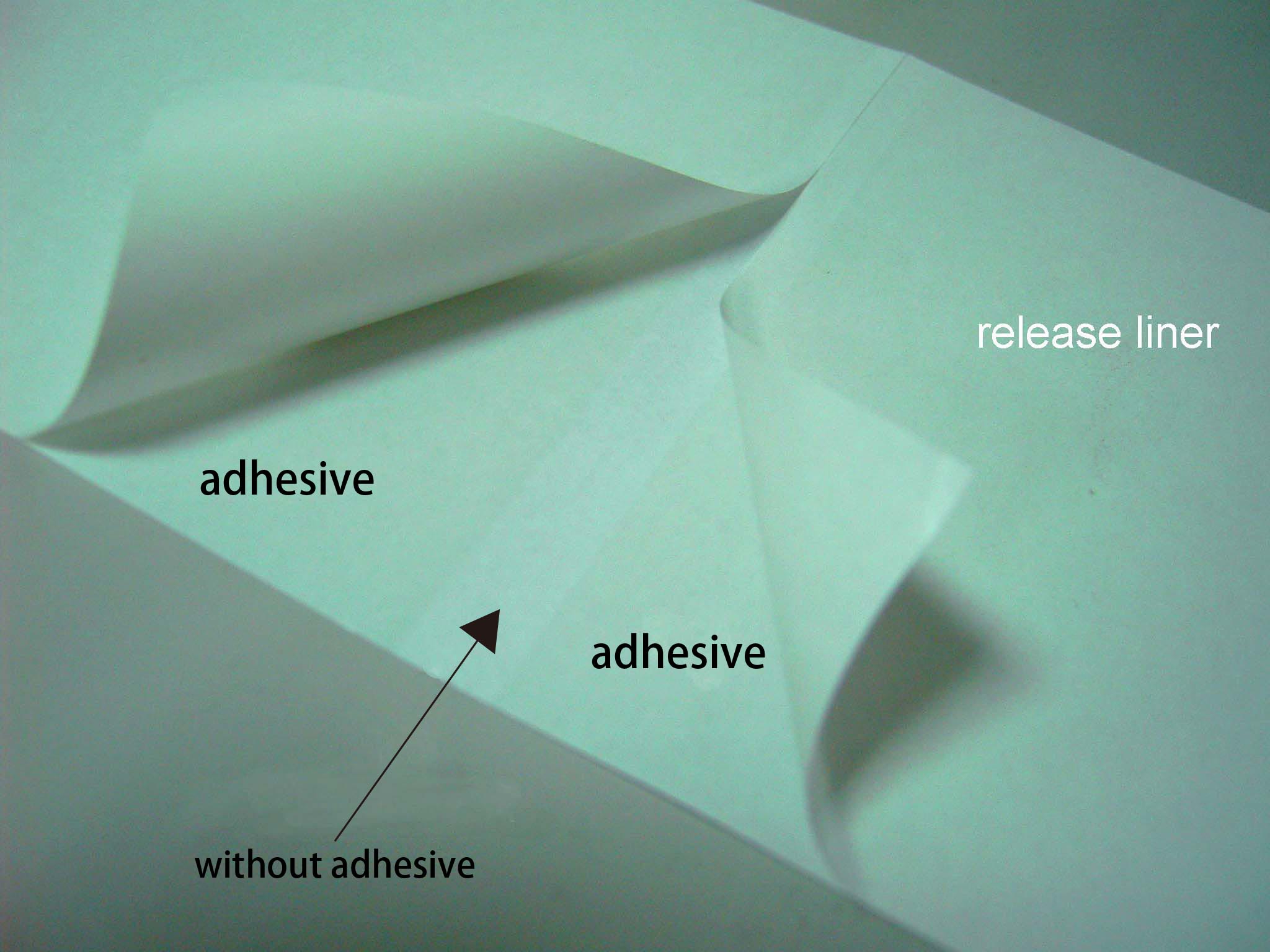 Strip coating adhesive tape/label Taiwantrade