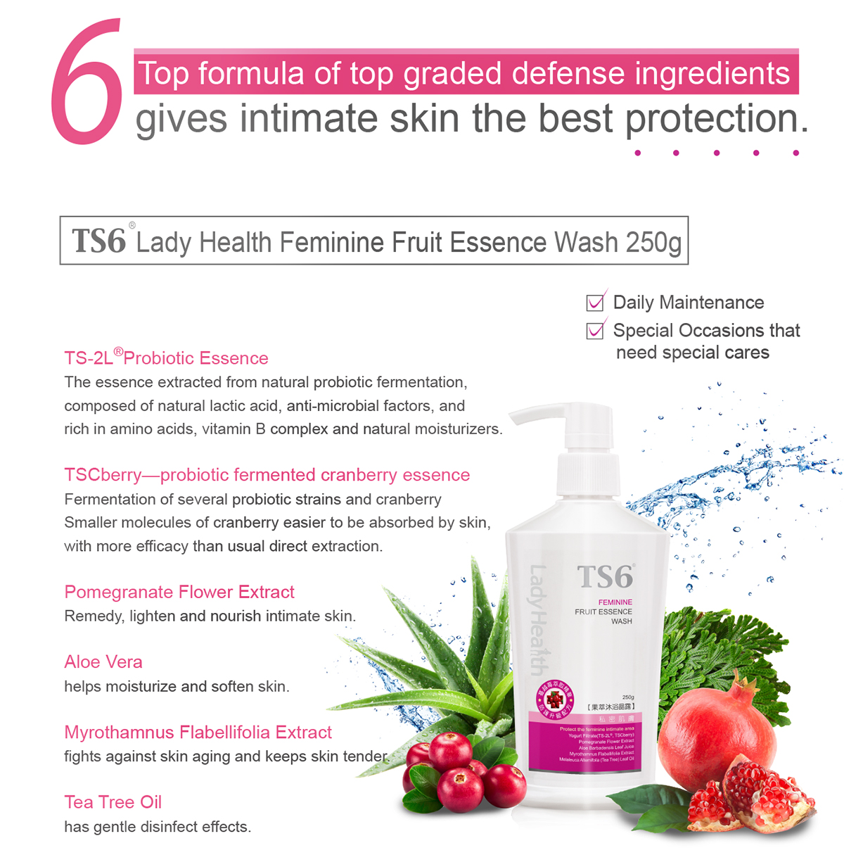 TS6 Lady Health Feminine Fruit Essence Wash
