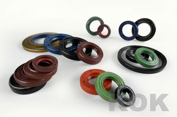 Oil Seal