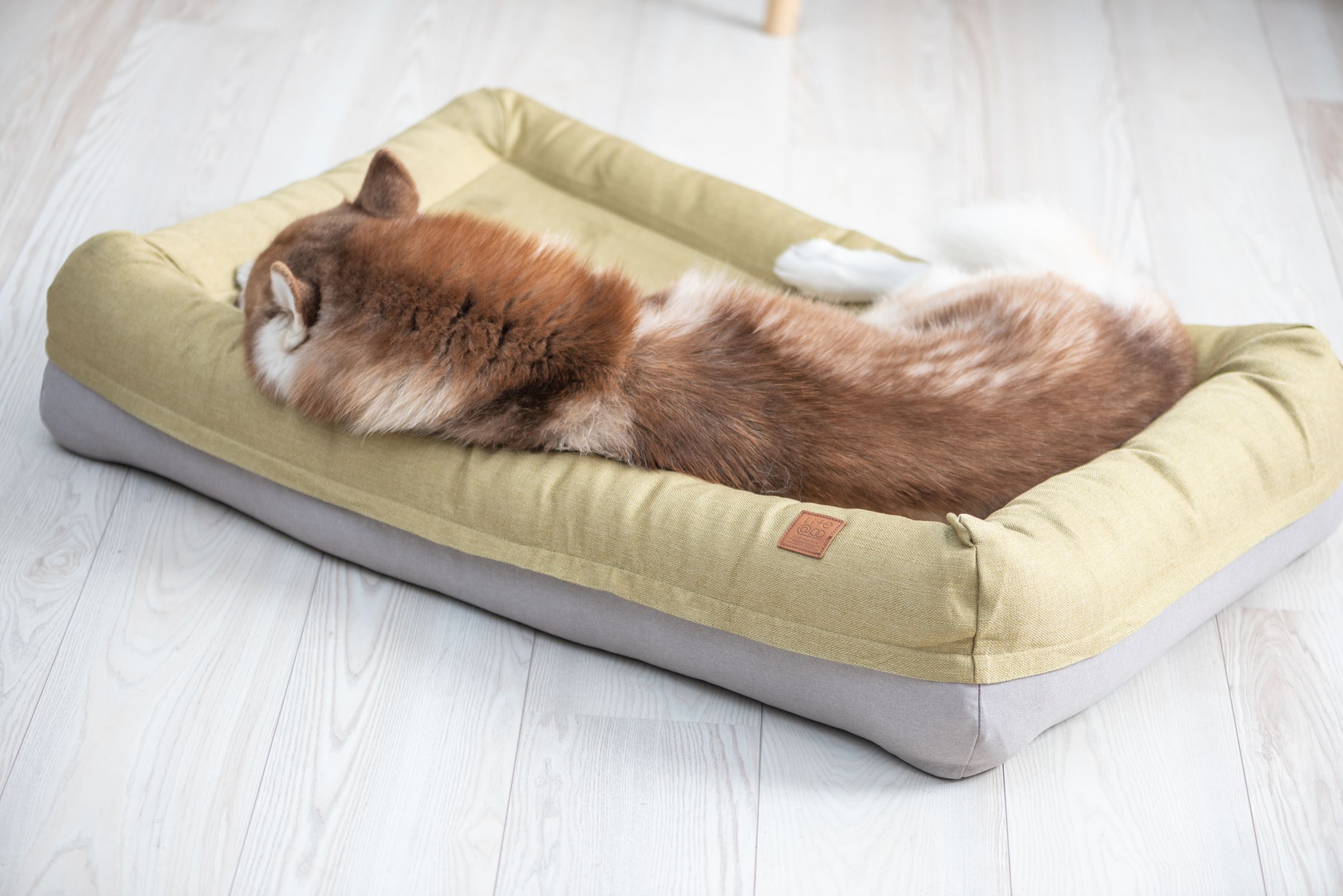 LIFEAPP AIR BED, DOG BED, PET BED